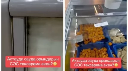 Ақтау тұрғыны котлеттердің ішінен толған тарақан тапты: Енді дүкен иесіне 6 миллион теңге айыппұл салынады