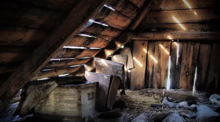 Әйел 20 жыл бойы шатырда жатқан күтпеген олжаның арқасында байып шыға келді