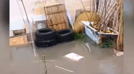 Талғарда табиғи сипаттағы төтенше жағдай жарияланды