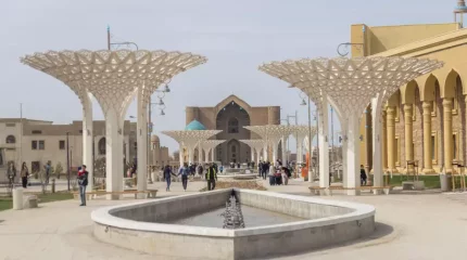 Түркістан облысында Дезинфекция орталығының бас директоры сотталды