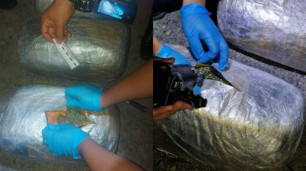 Қызылорда облысында аса ірі көлемде марихуана тасымалдаған екі ақтөбелік ұсталды