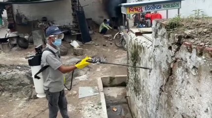 В индийском штате Гуджарат вспышка вируса Чандипура