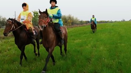 От Ботая до Астаны: «Ұлы дала жорығы» определит лучшую породу лошадей