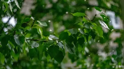 Солтүстік Атлантикалық циклон Қазақстанға келеді