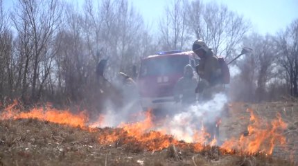 Последствия сильного урагана устраняют в ВКО