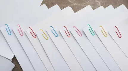 ШҚО-да қос азаматтығы бар тұрғын жауапқа тартылды