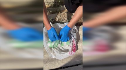 6 кг гашиша и более 23 тысяч поддельных долларов хотели реализовать жители Шымкента