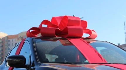 Заңсыз автокөлік ұтыс ойынын ұйымдастырған блогер сотталды