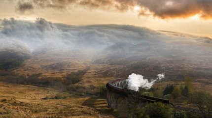 Международный поезд столкнулся с деревом в Баварии