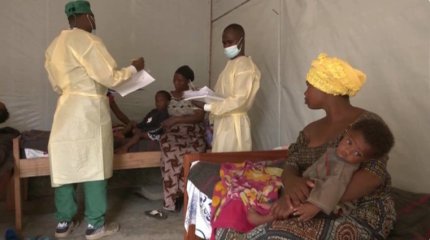 Первый случай заражения оспой обезьян выявлен вне Африки