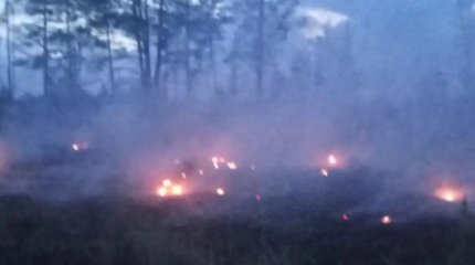 Грозовой разряд спровоцировал лесные пожары в области Абай