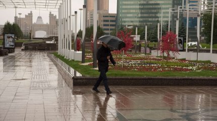 Бұршақ жауады