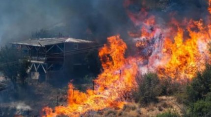 Людей эвакуируют в турецком Измире из-за лесных пожаров