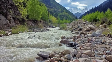Селевая опасность объявлена в горах Алматы: горожан просят отложить походы