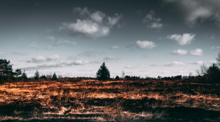 Лесные пожары разбушевались в Португалии и Испании (ВИДЕО)