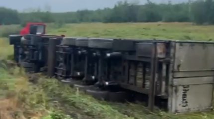 Фура с коровами опрокинулась в Костанайской области