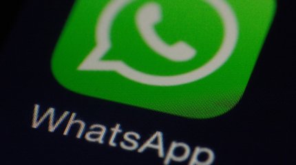 WhatsApp представит новую функцию выбора темы