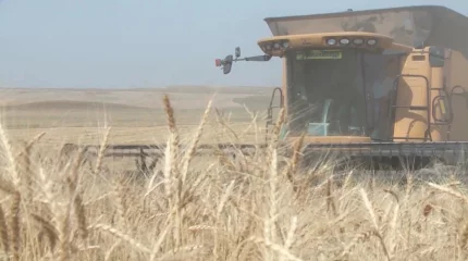 Елімізде жаңа жеңілдетілген несиелендіру бағдарламасы іске қосылады