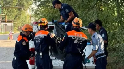 Женщина погибла в ирригационном канале в Алматинской области