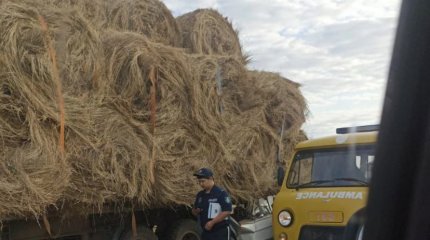 ДТП в ЗКО: четверо погибли, в том числе и первый замначальника полиции