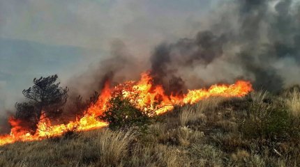 Қырымда 45 гектар жер өртеніп жатыр