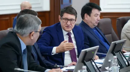 Глава Минэнерго озвучил аргументы в поддержку строительства АЭС в Казахстане