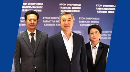 "Строительство АЭС даст импульс развитию бизнеса": Раимбек Баталов поддержал инициативу Правительства