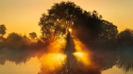 Штормовое предупреждение объявили в 15 областях Казахстана