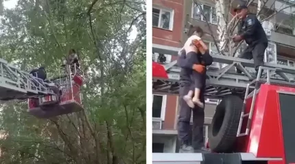 Девочка из Усть-Каменогорска попала в беду, пытаясь спасти котенка