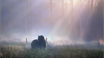 Туманы и грозы: какая погода ждёт казахстанцев в четверг, 29 августа