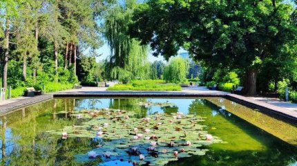 Алматыдағы ботаникалық бақ бір күнге жабылады