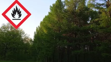 Грозы, туманы, пожары: штормовое предупреждение объявлено по всему Казахстану в субботу, 31 августа