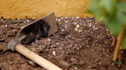 Останки убитой 15 лет назад девушки нашли на дачах в Павлодаре