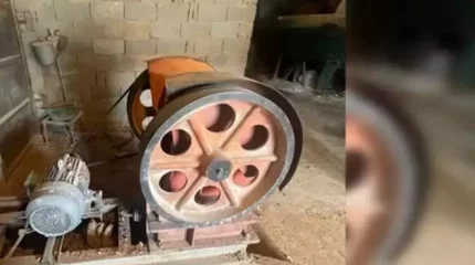 Жамбыл облысында алтын ұрлауға қатысы бар қылмыстық топтар ұсталды