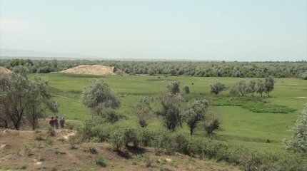 Свыше 45 тыс. га пастбищных угодий в Жамбылской области не используются