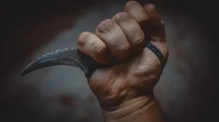 Қостанайлық жігіт анасы мен әпкесіне пышақ ала жүгірген