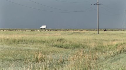 32 тысячи гектаров неиспользуемых земель выявили в Павлодарской области