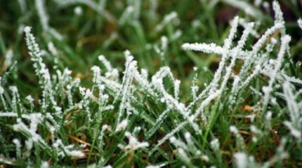 Үсік жүріп, қар жаууы мүмкін