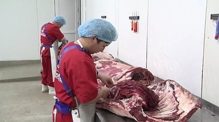 Алматы облысында 11 адам сібір жарасын жұқтырған