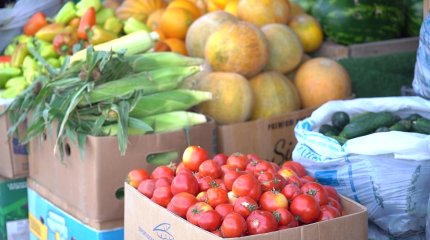 Елімізде азық-түлік бағасы тұрақсыз