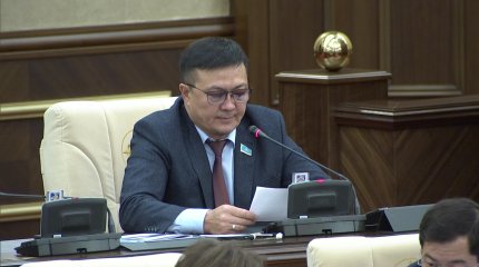 Депутат билет бағасын ретсіз көтеретін әуе компанияларын жазалауды ұсынды