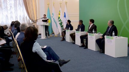 "Электр энергиясының тапшылығы экономиканың дамуына кедергі келтіруде", - депутат