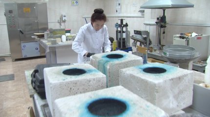 Елімізде жөндеуді талап етпейтін жол салынбақ