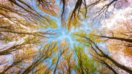 До 30 градусов тепла: прогноз погоды в мегаполисах страны 12 сентября