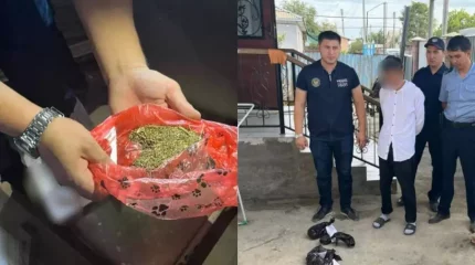 Түркістан облысында тұрғыннан марихуана табылды