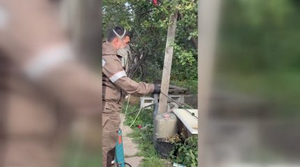 Оралдағы саяжайларда қарақұрт көбейген