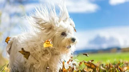 Ветры, грозы, заморозки: прогноз погоды на пятницу, 13 сентября