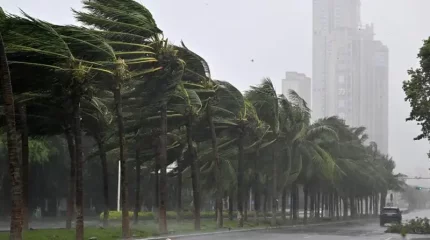 Вьетнамда «Яги» тайфунынан қаза тапқандар саны 233 адамға жетті