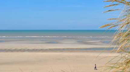 8 мигрантов погибли при попытке пересечь Ла-Манш