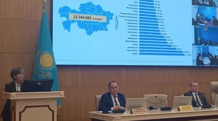 Бюллетень для голосования на референдуме показали в ЦИКе